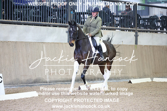 JHP21064