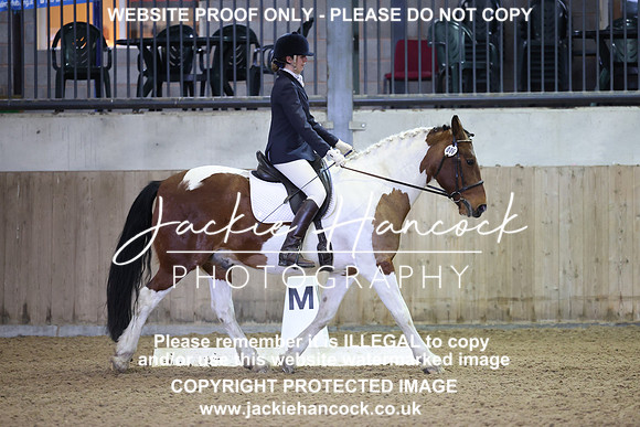 JHP20099