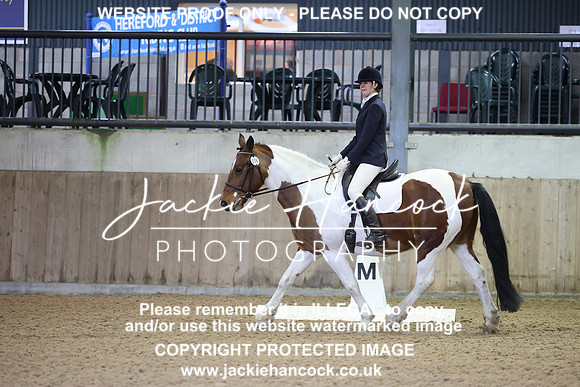JHP20117