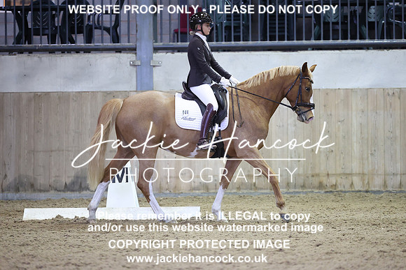 JHP22095