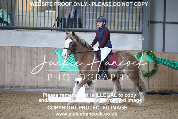 JHP20087