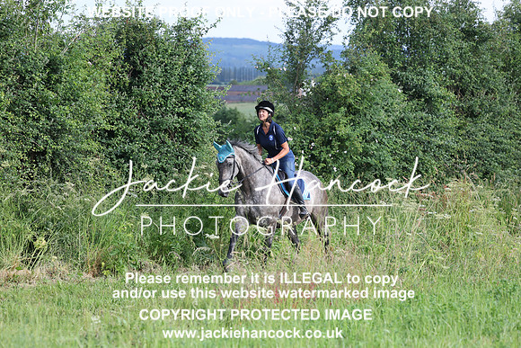 JHP20646