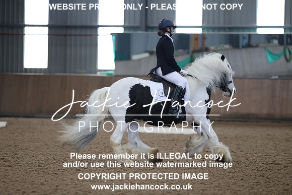 JHP20384