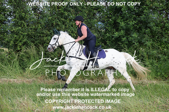 JHP21100