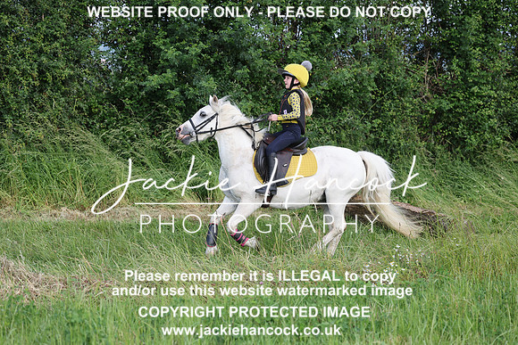 JHP21056