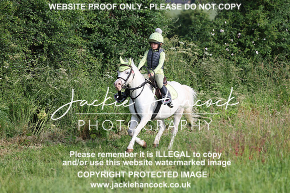 JHP20815