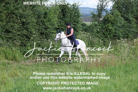 JHP21093