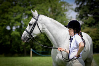 Showground (Frampton Show 29.6.14)