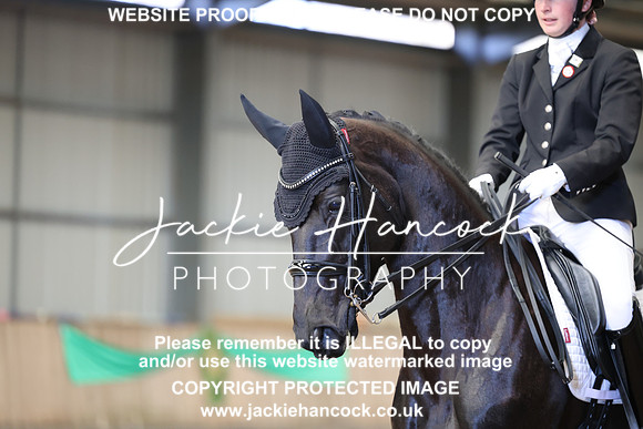 JHP21231