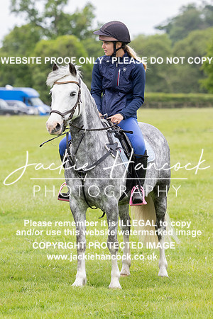 JHP20017-2