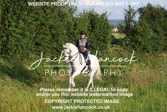 JHP21287