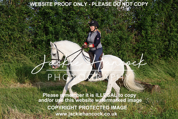 JHP21291