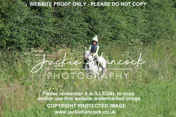 JHP20811