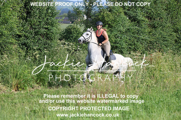 JHP20831