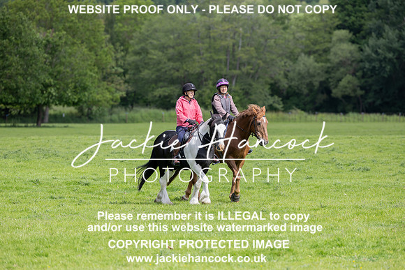 JHP20066