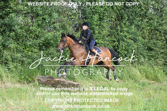 JHP21039