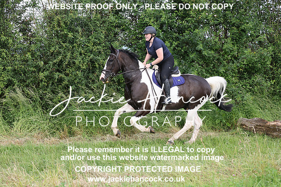 JHP20596