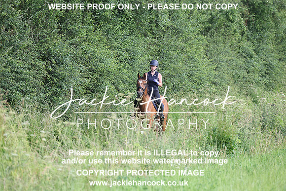 JHP21133