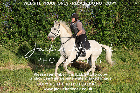 JHP21329