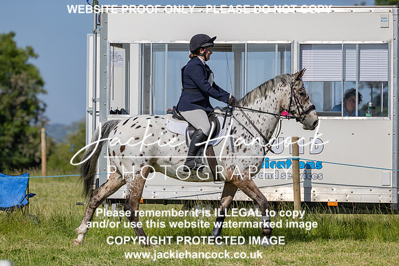 JHP20133
