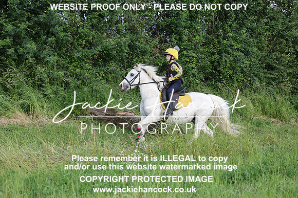 JHP21054