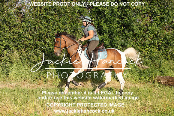 JHP21236