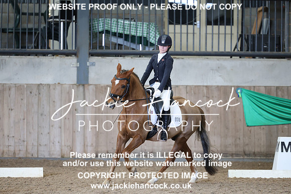 JHP21178