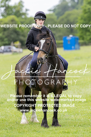 JHP20011