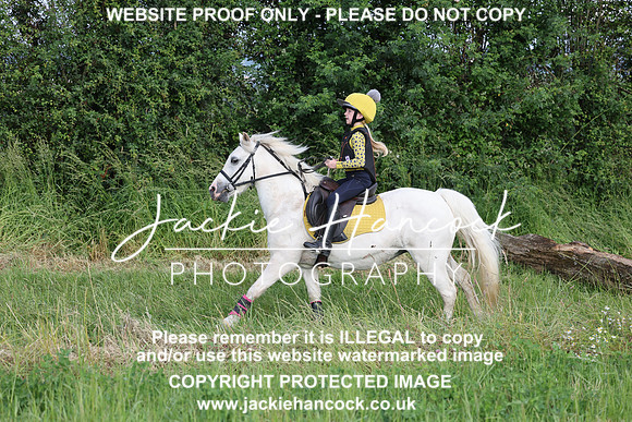 JHP21057