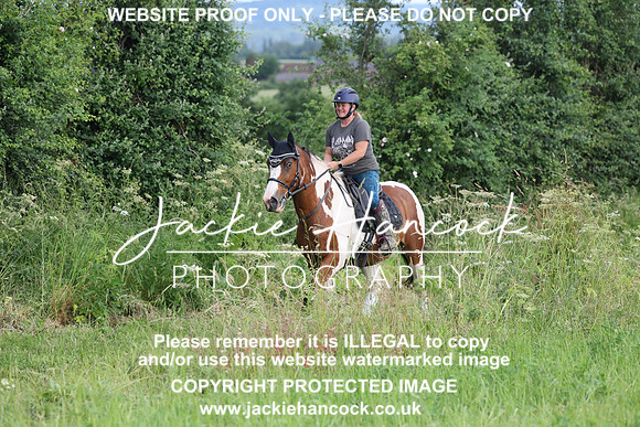 JHP20385