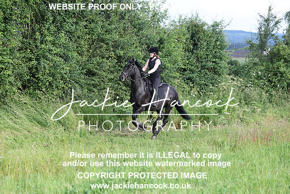 JHP20653