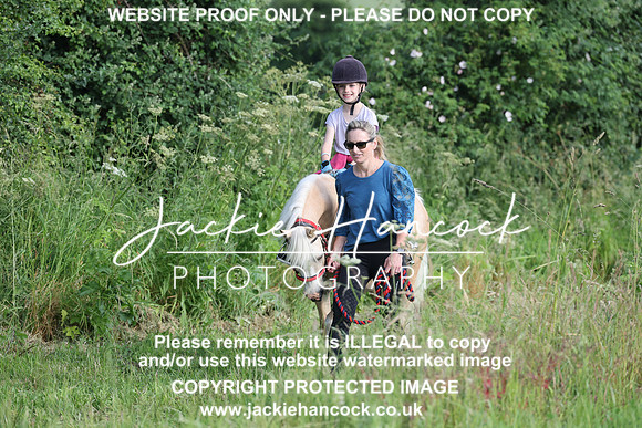 JHP20733