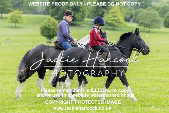 JHP20046