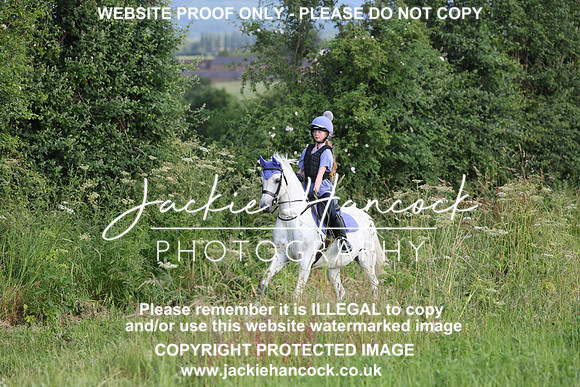 JHP21004