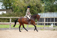 Class 17 - Novice Snr