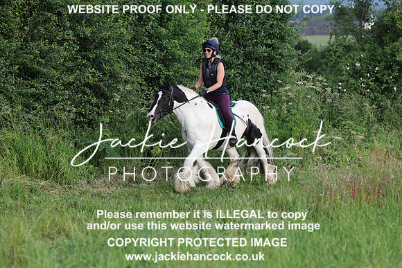 JHP21082