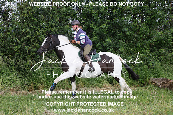 JHP20586