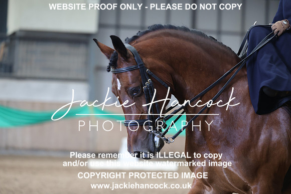 JHP21513