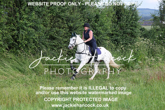 JHP21095