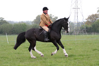 Ridden Championship