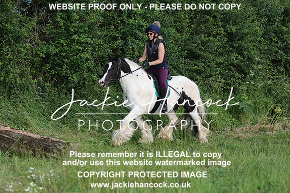 JHP21083