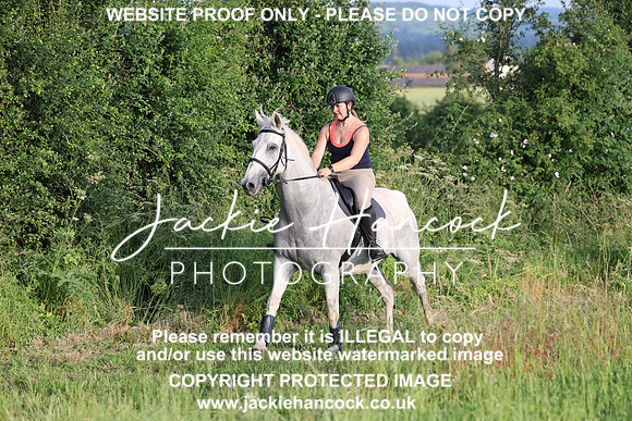 JHP21354