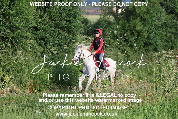 JHP21342
