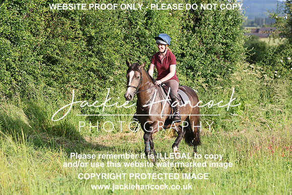 JHP21199