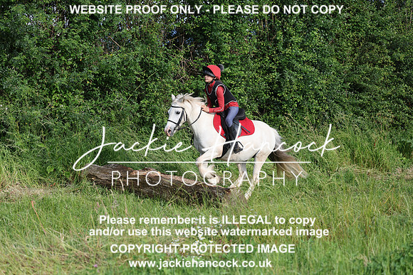 JHP20805