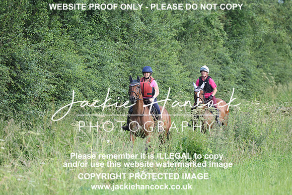 JHP21066