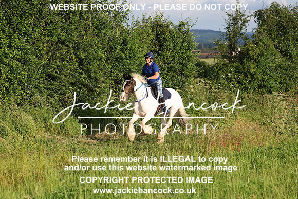 JHP21239