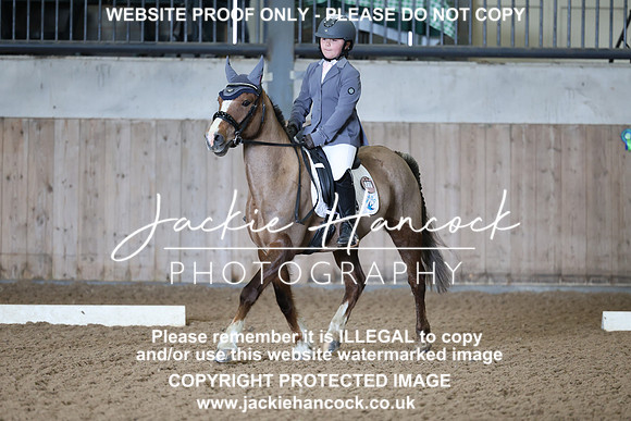 JHP20036