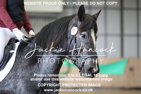 JHP20065