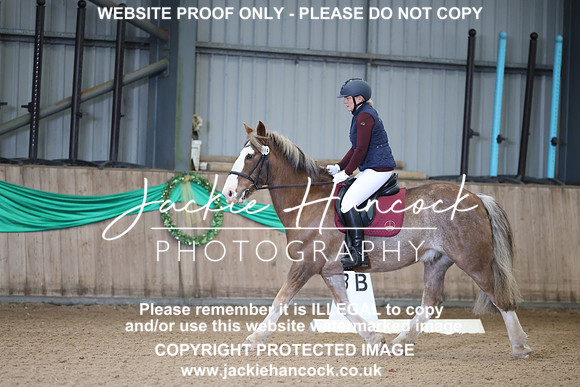 JHP20086